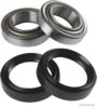 HERTH+BUSS JAKOPARTS J4700501 Wheel Bearing Kit